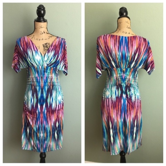 Maggy London Dresses & Skirts - Maggy London size 2P ruched multi colored dress!